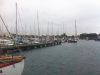 Hals Havn